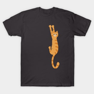 Orange Tabby Cat Hanging On T-Shirt